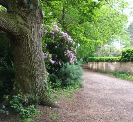 Walk and Talk Therapy in Lincolnshire